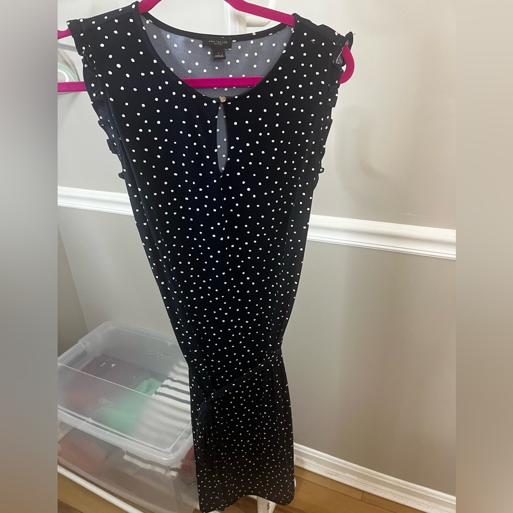Ann Taylor Factory (L) Navy Polka Dot A Line Belt Dress